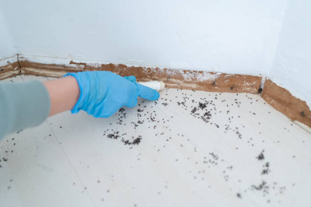 Best Commercial Pest Control Services  in Asbury, IA